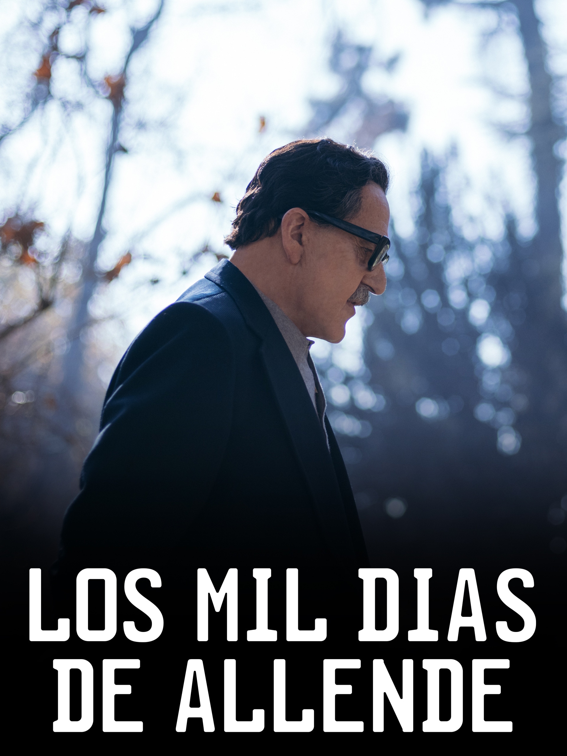 Los Mil Días De Allende